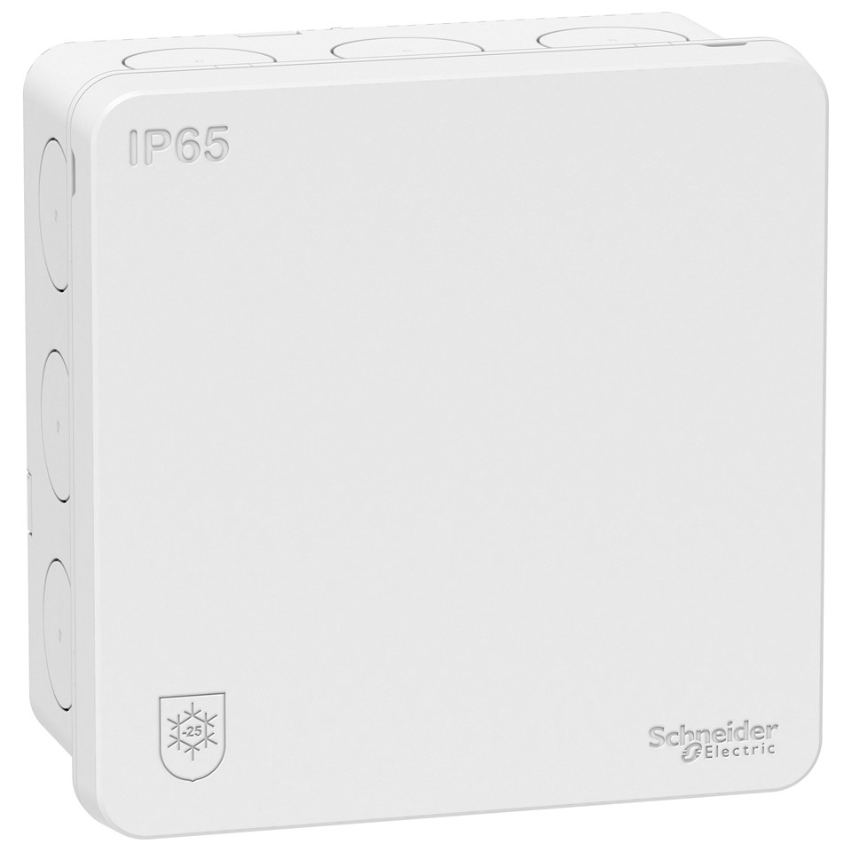 Schneider Electric Mureva Kopplingsdosa IP65 2K Vit