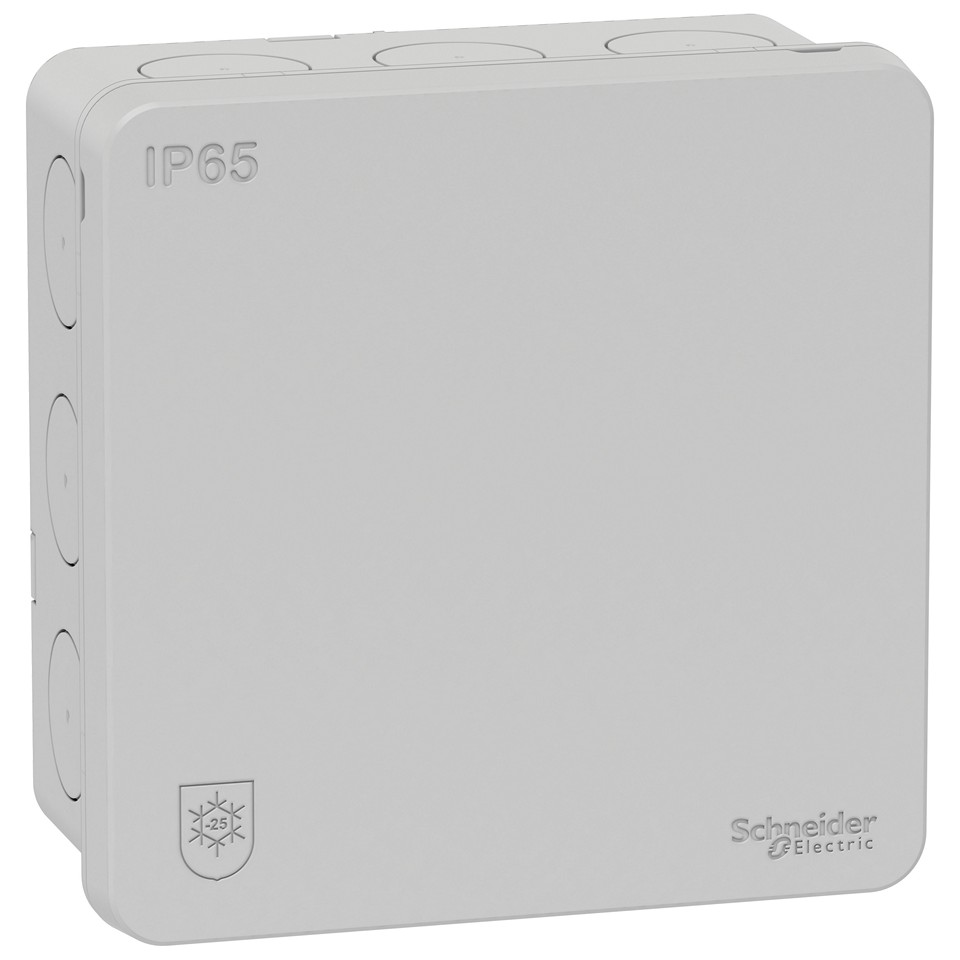 Schneider Electric Mureva Kopplingsdosa IP65 2K Ljusgrå