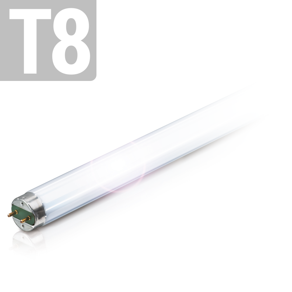 Philips Master TL-D Xtreme - Tube Fluorescent 58W T8 G13 - Chaud 3000K - 150cm - Neuf