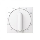 ABB Saga Centrumplatta Timer 0-120min 