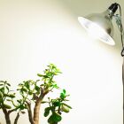 Airam Herby Plantlampa LED 10W
