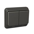 Schneider Electric Schenider V�gguttag 2-v�gs med jord inf. IP44 Antracit Skruv