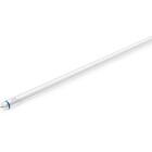 Ett l�ngt, smalt LED-lysr�r ur Philips CorePro T8-serien ligger horisontellt mot vit bakgrund.