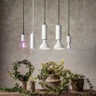 Airam Rose V�xtlampa Kl�m 10W Dim