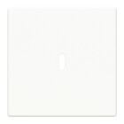 Vit ABB Impressivo Centrumplatta USB-C 1816056 visas framifr�n mot ljus bakgrund med en diskret �ppning f�r USB-C-anslutning, en stilren centrumplatta fr�n Elbutik.se f�r integrering av laddningsuttag i moderna elinstallationer.