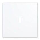 visas framifr�n i vitt utf�rande mot ljus bakgrund, med en diskret �ppning f�r USB-C. Elbutik.se erbjuder centrumplattan f�r stilren integrering av USB-C-anslutning i elinstallationer.