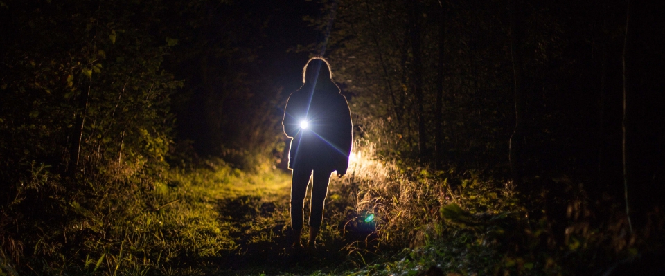 En ensam person håller i en ficklampa som lyser upp en skogsväg i mörkret, där Elbutik.se:s ficklampor erbjuder säkerhet och tydlighet i utmanande utomhusmiljöer.
