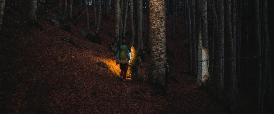 Två vandrare med ryggsäckar och pannlampor lyser upp en mörk stig i en tät skog med höstlöv, där Elbutik.se bidrar med pålitlig belysning för trygg nattorientering.