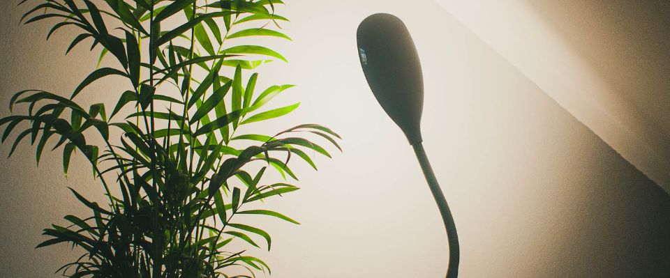 En hög grön krukväxt står bredvid en böjbar växtlampa med smal design som riktar ljus upp mot väggen. Denna diskreta och effektiva belysningslösning, tillgänglig via Elbutik.se, passar bra i moderna inomhusmiljöer.