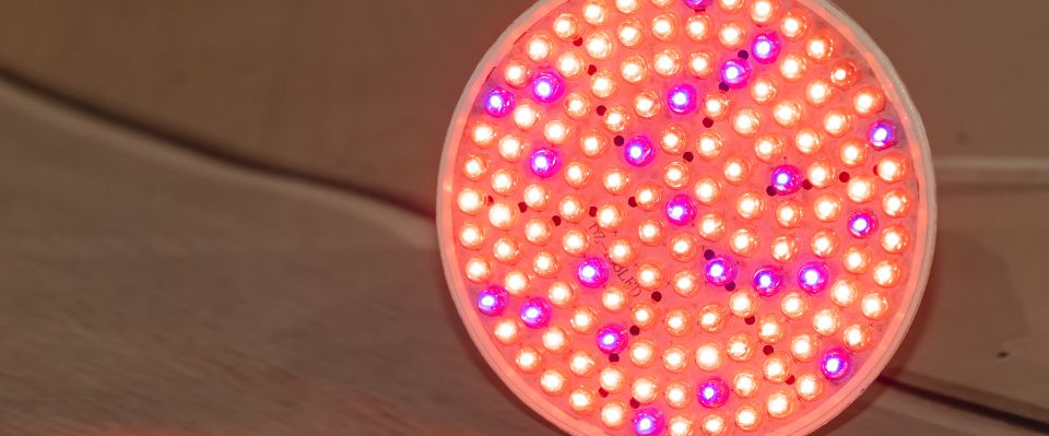 En närbild på en rund LED-växtlampa med rött och blått ljus i ett symmetriskt mönster. Produkten, som finns hos Elbutik.se, används för att ge växter ett effektivt och energisnålt tillväxtljus.